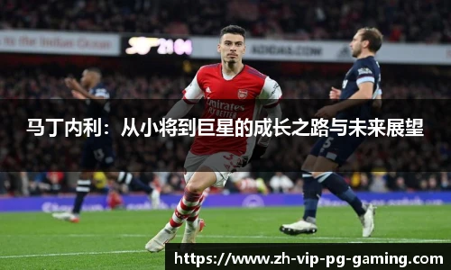 马丁内利：从小将到巨星的成长之路与未来展望